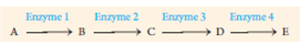 In the following reaction series, which enzyme(s) is/are most likely to have an allosteric site to which the end product E binds? A) enzyme 1 B) enzyme 2 C) enzyme 3 D) enzyme 4 E) enzymes 3 and 4  