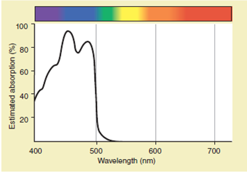 ANALYZING DATA. The figure depicts the absorption spectrum of a plant pigment. What colors/wavelengths does it absorb? What is the color of this pigment?
