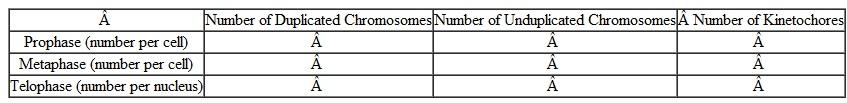 Fill out the following table for a cell with 5 chromosomes undergoing mitosis. Is this cell haploid or diploid? How do you know?