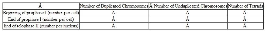 Fill out the following table for a diploid cell with 14 chromosomes undergoing meiosis.  