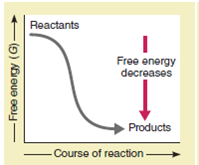 ANALYZING DATA. Does the figure illustrate an exergonic reaction or an endergonic reaction How do you know