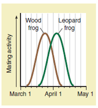 ANALYZING DATA. Examine Figure, and predict which date is likeliest for researchers to have collected wood and leopard frogs and interbred them in the lab: March 10, April 1, or April 15. Explain your answer. FIGURE Animated Temporal isolation in wood and leopard frogs C)Graph of peak mating activity in wood and leopard frogs. In nature, wood and leopard frogs do not interbreed.