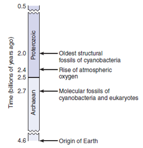 ANALYZING DATA. Evidence for the oldest cyanobacterial fossils (stromatolites)dates to about 2 billion years, but molecular evidence inferred from lipids in ancient rocks puts the date for living cyanobacteria and eukaryotes at 2.7 billion years. Develop two opposing hypotheses to explain the discrepancy between the dates.   