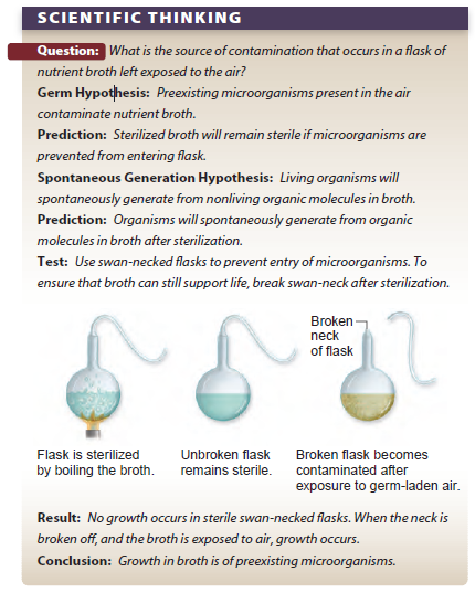 The classic experiment by Pasteur (see figure 1.4) tested the hypothesis that cells arise from other cells. In this experiment cell growth was measured following sterilization of broth in a swan-neck fl ask or in a fl ask with a broken neck. a. Which variables were kept the same in these two experiments b. How does the shape of the fl ask affect the experiment c. Predict the outcome of each experiment based on the two hypotheses. d. Some bacteria (germs) are capable of producing heat-resistant spores that protect the cell and allow it to continue to grow after the environment cools. How would the outcome of this experiment have been affected if spore-forming bacteria were present in the broth    Figure 1.4 Experiment to test spontaneous generation versus germ hypothesis.