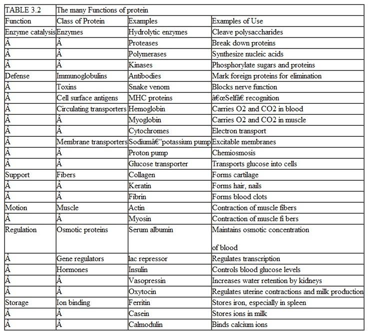 The cells of your body are distinct even though they all contain the same genetic information. Use the information in table 3.2 to develop an explanation for the diversity of specialized cellular structure and function found within your body.  