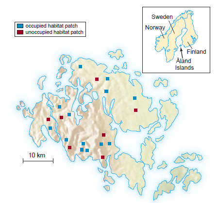 Refer to figure 56.8. What are the implications for evolutionary divergence among populations that are part of a metapopulation versus populations that are independent of other populations  <div style=padding-top: 35px> 