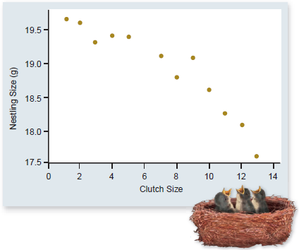 Refer to figure 56.14. Because the number of offspring that a parent can produce is often a trade-off with the size of individual offspring, many circumstances lead to an intermediate number and size of offspring being favored. If the size of an offspring was completely unrelated to the quality of that offspring (its chances of surviving until it reaches reproductive age), would you expect parents to fall on the left or right side of the x -axis (clutch size) Explain.  <div style=padding-top: 35px> 