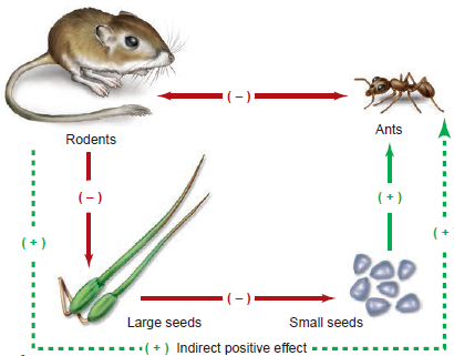 Refer to figure 57.22. Are there alternative hypotheses that might explain the increase followed by the decrease in ant colony numbers subsequent to rodent removal in the experiment described in figure 57.22 If so, how would you test the mechanism hypothesized in the figure a.   b.  <div style=padding-top: 35px> 