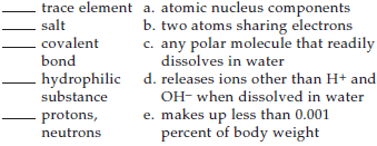 Match the terms with their most suitable description.