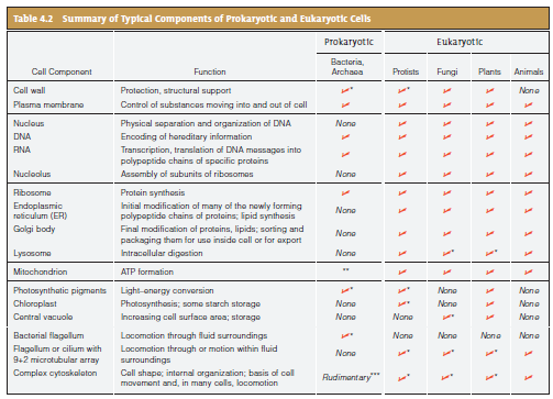 Kartagener syndrome is a genetic disorder caused by a mutated form of the protein dynein. Affected people have chronically irritated sinuses, and mucus builds up in the airways to their lungs. Bacteria form huge populations in the thick mucus. Their metabolic by-products and the inflammation they trigger combine to damage tissues. Males affected by the syndrome can produce sperm, but they are infertile (Figure 4.30). Some have still become fathers with the help of a procedure that injects sperm cells directly into eggs. Explain how an abnormal dynein molecule could cause the observed effects.       
