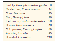 The diploid chromosome number for the somatic cells of several eukaryotic species are listed at right. Write down the number of chromosomes that normally end up in gametes of each species. Then write what the number would be after three generations if meiosis did not occur before gamete formation.