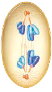 Sister chromatids of each duplicated chromosome separate during __________. A) prophase I B) prophase II C) anaphase I D) anaphase II  
