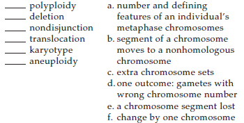 Match the chromosome terms appropriately.