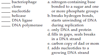 Match the terms appropriately.