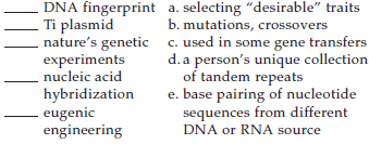 Match the terms with the most suitable description.