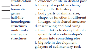 Match the terms with the most suitable description.