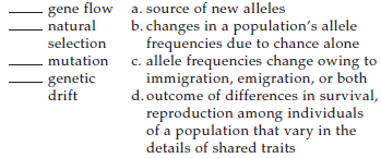 Match the evolution concepts.
