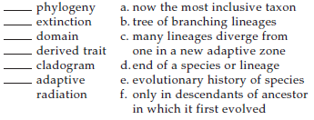 Match these terms suitably.