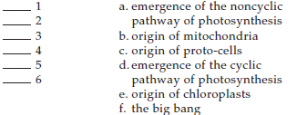 Chronologically arrange the evolutionary events, with 1 being the earliest and 6 the most recent.