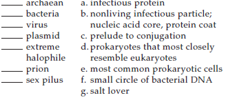 Match the terms with their most suitable description.