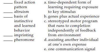 Match the terms with their most suitable description.  <div style=padding-top: 35px> 