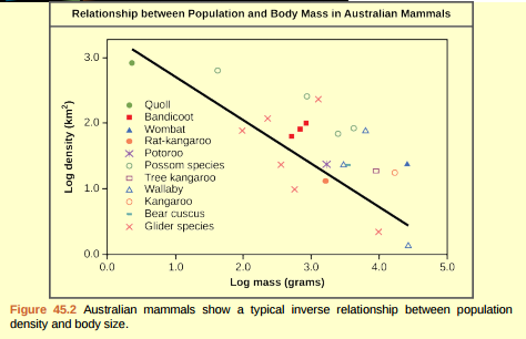 Figure 45.2 As this graph shows, population density typically decreases with increasing body size. Why do you think this is the case?  <div style=padding-top: 35px> 