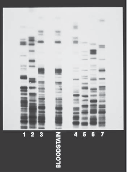    What would be the amino acid sequence in the polypeptide resulting from a strand of mRNA with the following base sequence  AUG ACA UAU GAG ACG ACU