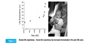 Using only the information provided in Figure 1.1, estimate the following:   a. Human life expectancy in the year 1250. b. Human life expectancy in the year 2050.<div style=padding-top: 35px> 