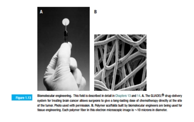 Figure 1.13 shows a surgeon holding a GLIADEL?R wafer. From this photo- graphic evidence only, estimate the following:   a. The dimensions of the wafer. b. The dose of drug that it contains, if the loading of drug is 3.85% by mass (i.e., 3.85% of the wafer mass is due to the drug).<div style=padding-top: 35px> 