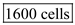 The maximum number of cells that fit into each spot of protein with the diameter 300 microns can be calculated by the following calculation :   So, the maximum number of   can fit into each spot.