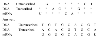 Fill in the missing letters (*):  