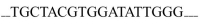 Not all of the bases are used in the translation of mRNA. Using the genetic code, determine the amino acid composition of the polypeptide specified by the following DNA sequence. (Remember that AUG is the start codon as well as the methionine codon.)