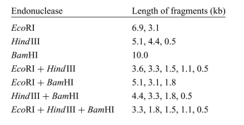 A virus with a circular double-stranded DNA chromosome contains approx- imately 10,000 bp. You want to begin characterizing this chromosome by making a map of the cleavage sites of three restriction endonucleases: EcoRI, HindIII, and BamHI. You digest the viral DNA under conditions that allow the endonuclease reactions to go to completion and then subject the digested DNA to electrophoresis on agarose to determine the lengths of the restriction fragments produced in each reaction. Based on the resulting data, draw a map of the viral chromosome indicating the relative positions of the cleavage sites for these restriction endonucleases: