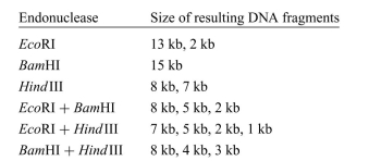A circular piece of DNA (e.g., a plasmid) was cleaved using three different restriction enzymes. The cut sizes of the fragments of DNA were detected by gel electrophoresis. The results of the restriction enzyme treatments are shown here (note that 1 kb = 1000 base pairs).    a. What is the length (in kb) of the circular DNA? b. Draw a map of the circular DNA (including the restriction sites for HindIII, EcoRI, BamHI) and determine the distance (in kb) between all the restriction sites on the circular DNA.