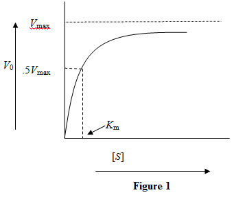 THE MICHAELIS-MENTEN EQUATION The Michaelis-Menten equation is used to study enzyme kinetics. Michaelis-Menten equation is given by   Here   is the velocity of the chemical reaction,   denotes the concentration of the substrate,   is the saturation reaction rate and   is Michaelis-Menten constant which is related to the binding affinity of the substrate to the enzyme.   Figure 1: Reaction velocity versus substrate concentration for a particular enzyme-substrate pair a) The binding affinity of a substrate with an enzyme is measured in terms of   It equals the substrate concentration when the reaction velocity is half the saturation reaction velocity. A lower value of   indicates a higher binding affinity. So, for two substrates binding to the same enzyme, the curve will be steeper for the substrate with higher binding affinity.   Figure 2: Reaction velocity versus substrate concentration for two substrates with a given enzyme. The orange color curve is for the substrate with higher binding affinity. While the Michaelis-Menten constant gets reduced due to higher binding affinity, the saturation velocity, which depends on the enzyme concentration, remains the same. b) The maximum reaction rate depends directly on the amount of enzyme. Doubling the enzyme concentration will double the maximum reaction velocity.   Figure 3: Kinetic curve with doubled concentration of enzyme. The curve in red shows the kinetic curve when the enzyme concentration was not doubled. Doubling the enzyme concentration doubles the maximum reaction velocity while the   value remains unaffected.