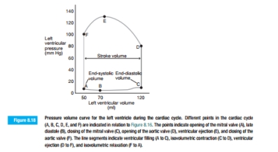 Using Equation 8.12 and Figure 8.18, calculate the work done by the heart during one cardiac cycle.    