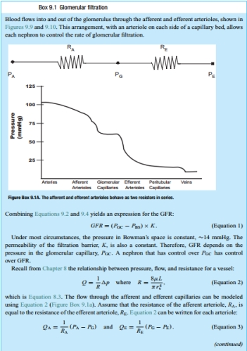 If the GFR is 100 mL/min, use Equation 9.4 and the information in Box 9.1  to determine K.      