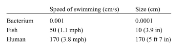 The forces that act on a body that is swimming through water are similar to the forces acting on an object ﬂying through the air, as shown in Box 10.1, except that swimming bodies are buoyant, which exactly balances the force of gravity. Assume that we are studying the differences between swimmers of different size: a bacterium, a ﬁsh, and a human swimmer. Assume further that the drag force, Fd, acting on any swimmer is proportional to its average size a:   where µ is the viscosity of the ﬂuid surrounding the swimmer and vx is the speed of swimming. Assume that the viscosity of the ﬂuid through which they are swimming is 0.01 g/cm-s and the following are the characteristics of each swimmer:    a. What is the drag force acting on each swimmer? What is the propulsive force that is produced by each swimmer to swim at the stated speed? b. Assume that the swimmer suddenly stops exerting energy to swim. At the very instant that it stops, before it has had time to slow down appreciably, what is the drag force on each swimmer? What is the propulsive force? c. How long will each swimmer coast-that is, how long will it keep moving forward before stopping? d. How far did it travel during the coasting phase?
