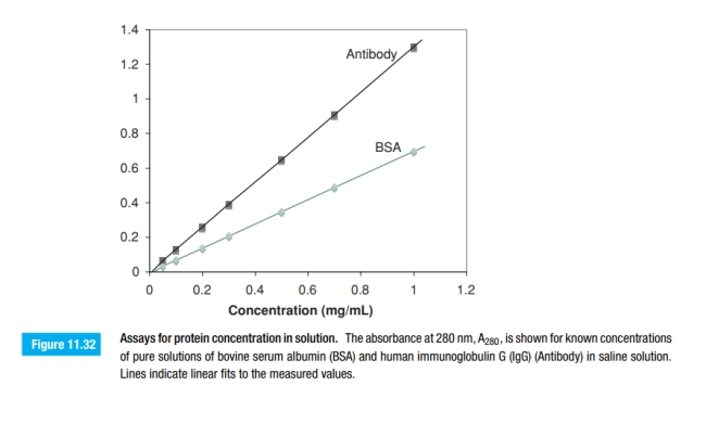 The standard curves shown in Figure 11.32 have the following equations:    a. Assume that you measure the OD of ﬁve unknown solutions that contain BSA and get the following readings: A280 = 0.35, 0.02, 0.58, 1.23, and 0.44. What are the concentrations of BSA in each of these solutions? b. What would the concentration of antibody be for the same set of measurements? c. Do you have conﬁdence in all of the estimated concentrations that you have calculated? If not, which values are suspicious to you, and why? d. How would you apply this method to a mixture that contained both BSA and Ab?  