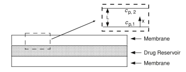 You are asked to design a delivery system that provides a constant rate of  release of insulin. You want the system to release 1 mg of insulin per day.  Will you use a matrix or a reservoir system? Make a list of the advantages  and disadvantages of each design for this particular application.  