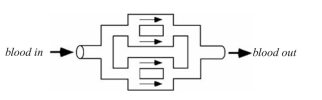 One of the major limitations in tissue engineering is vascularization. Without  an adequate blood supply, most grafted tissues will suffer tremendously. In  fact, most researchers in this ﬁeld would argue that this is the single most  signiﬁcant hurdle that must be overcome for us to achieve overwhelming  success. Even if we can establish conditions that support the proliferation and  differentiation of three-dimensional tissue-engineered constructs in vitro, the  survival of these constructs after implantation will be unlikely unless there is  an adequate supply of blood. The liver, in particular, requires a very large sup-  ply of blood for its survival. Currently, polyglycolic acid (PGA)/hepatocyte  constructs are grown in culture then implanted into the mesentery of the  rat for in vivo studies. The mesentery is a highly vascularized membranous  fold that attaches the small intestine to the dorsal wall of the body. Despite  this highly vascularized bed for implantation, the present survival rate of  implanted hepatocytes is very low. There is research underway to improve  the vascularization of implanted hepatocytes for replacement of the liver:  • In one case, researchers are impregnating the PGA scaffold with VEGF, a  growth factor that induces the growth of new blood vessels (angiogenesis).  • In a second case, researchers are using advanced free-form fabrication  techniques to create a three-dimensional polymer structure that looks like  a capillary bed.     The hepatocytes would be seeded on the exterior of the capillary bed structure.  The two ends of the structure can then be sutured directly in line with a blood  vessel. The device would NOT be encased within any other membrane (i.e., this  is an open system). From the information given here, from our discussions in  class, and considering the many functions of the liver, thoroughly discuss the  following:  a. What would be the major concerns with each approach and why? b. What would be the major advantages to each approach and why?