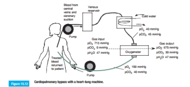 In the cardiopulmonary bypass procedure shown in Figure 15.12: a. How much O2 (in cm3 at standard temperature and pressure) is returned to the patient if the blood flow rate is 5 L/min? b. Assuming that the blood flow rate is 5 L/min, what gas flow rate is needed to accomplish the indicated changes in O2 and CO2 composition?