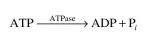 An enzyme ATPase has a molecular weight of daltons, value of 10-4 M, and a K₂ value of K₂ = 104 molecules ATP/min molecule enzyme at 37∞C. The reaction catalyzed is the following: which can also be represented as where S is ATP. The enzyme at this temperature is unstable. The enzyme inactivation kinetics are first order: where is the initial enzyme concentration and In an experiment with a par- tially pure enzyme preparation, of total crude protein (containing enzyme) is added to a 1 ml reaction mixture containing 0.02 M ATP and incubated at 37∞C. After 12 hours the reac- tion ends and the inorganic phosphate concentration is found to be 0.002 M, which was initially zero. What fraction of the crude protein preparation was the enzyme? Hint: Since the reaction rate can be represented by