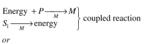 It is desired to model the growth of an individual bacterium. The cell transports S₁ into the cell enzymatically, and the permease is subject to product inhibition. S₁ is converted into pre- cursors, P, that are converted finally into the macromolecular portion of the cell, M. The cata- lyst of all reactions is M. (1) (per unit surface area)where S* = outside concentration of S (2) (3a) (3b) The dry weight of the cell is T and is equal to (4) where cell density and V = cell volume Write the equations and define all symbols necessary to describe the changes in S₁, P, M, and T within the cell. Remember that the cell volume is always changing.