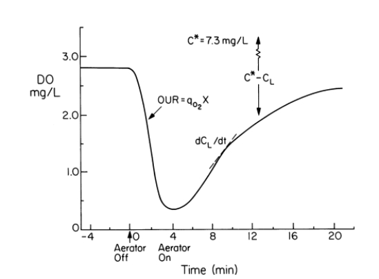Estimate from Fig. 10.5 if due to the use of nearly pure oxygen rather than air. Figure 10.5. Example of response of DO in a fermenter when stopping and then restarting air flow. The dynamic method can be used to estimate OUR and kLa