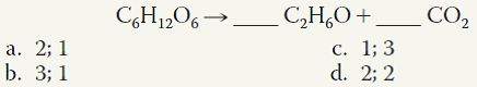 What coefficients must be placed in the following blanks so that all atoms are accounted for in the products