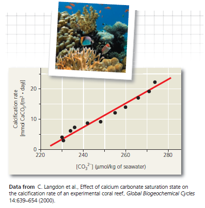 Interpreting a Scatter Plot with a Regression Line  How Does the Carbonate Ion Concentration of Seawater Affect the Calcification Rate of a Coral Reef Scientists predict that acidification of the ocean due to higher levels of atmospheric CO₂ will lower the concentration of dissolved carbonate ions, which living corals use to build calcium carbonate reef structures. In this exercise, you will analyze data from a controlled experiment that examined the effect of carbonate ion concentration ([    ]) on calcium carbonate deposition, a process called calcification. How the Experiment Was Done For several years, scientists conducted research on ocean acidification using a large coral reef aquarium at Biosphere 2 in Arizona. They measured the rate of calcification by the reef organisms and examined how the calcification rate changed with differing amounts of dissolved carbonate ions in the seawater. Data from the Experiment The black data points in the graph form a scatter plot. The red line, known as a linear regression line, is the best-fitting straight line for these points.    (a) If the seawater carbonate ion concentration iS₂70 mol/kg, what is the approximate rate of calcification, and approximately how many days would it take 1 square meter of reef to accumulate 30 mmol of calcium carbonate (CaCO 3 )  (b) If the seawater carbonate ion concentration iS₂50 mol/kg, what is the approximate rate of calcification, and approximately how many days would it take 1 square meter of reef to accumulate 30 mmol of calcium carbonate  (c) If carbonate ion concentration decreases, how does the calcification rate change, and how does that affect the time it takes coral to grow