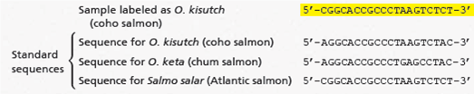 Are you a victim of fish fraud  When buying salmon, perhaps you prefer the more expensive wild-caught Pacific salmon ( Oncorhynchus species) over farmed Atlantic salmon ( Salmo salar ). But studies reveal that about 40% of the time, you aren't getting the fish you paid for! Watch the video in the MasteringBiology Study Area for more information.      ABC News Video: Fake Fish in Stores and Restaurants    Instructors : A version of this Problem- Solving Exercise can be assigned in Chapter 5 of MasteringBiology. A more extensive investigation is in Chapter 26 of MasteringBiology. In this exercise, you will investigate whether a piece of salmon has been fraudulently labeled.  Your Approach  The principle guiding your investigation is that DNA sequences from within a species or from closely related species are more similar to each other than are sequences from more distantly related species. Your Data  You've been sold a piece of salmon labeled as coho salmon ( Oncorhynchus kisutch ). To see whether your fish was labeled correctly, you will compare a short DNA sequence from your sample to standard sequences from the same gene for three salmon species. The sequences are:    Scan along the standard sequences ( O. kisutch, O. keta , and S. salar ), base by base, circling any bases that do not match the sequence from your fish sample.