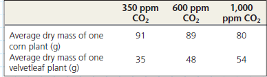 Does Atmospheric Carbon Dioxide Concentration Affect the Productivity of Agricultural Crops Atmospheric concentration of CO<sub>2</sub> has been rising globally, and scientists wondered whether this would affect C3 and C4 plants differently. In this exercise, you will make a scatter plot to examine the relationship between CO<sub>2</sub> concentration and growth of corn (maize), a C4 crop plant, and velvetleaf, a C3 weed found in cornfields. How the Experiment Was Done Researchers grew corn and velvetleaf plants under controlled conditions for 45 days, where all plants received the same amount of water and light. The plants were divided into three groups, each exposed to a different concentration of CO<sub>2</sub> in the air: 350, 600, or 1,000 ppm (parts per million). Data from the Experiment The table shows the dry mass (in grams) of corn and velvetleaf plants grown at the three concentrations of CO<sub>2</sub>. The dry mass values are averages of the leaves, stems, and roots of eight plants.    Based on the data in the scatter plot, estimate the percentage change in dry mass of corn and velvetleaf plants if atmospheric CO<sub>2</sub> concentration increases from 390 ppm (current levels) to 800 ppm. (a) First draw vertical lines on your graph at 390 ppm and 800 ppm. Next, where each vertical line intersects a regression line, draw a horizontal line to the y -axis. What is the estimated dry mass of corn and velvetleaf plants at 390 ppm 800 ppm (b) To calculate the percentage change in mass for each plant, subtract the mass at 390 ppm from the mass at 800 ppm, divide by the mass at 390 ppm, and multiply by 100. What is the estimated percentage change in dry mass for corn For velvetleaf (c) Do these results support the conclusion from other experiments that C3 plants grow better than C4 plants under increased CO<sub>2</sub> concentration Why or why not