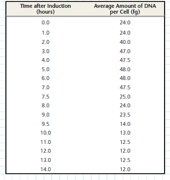 How Does DNA Content Change as Budding Yeast Cells Proceed Through Meiosis When nutrients are low, cells of the budding yeast ( Saccharomyces cerevisiae ) exit the mitotic cell cycle and enter meiosis. In this exercise you will track the DNA content of a population of yeast cells as they progress through meiosis.  How the Experiment Was Done Researchers grew a culture of yeast cells in a nutrient-rich medium and then transferred them to a nutrient-poor medium to induce meiosis. At different times after induction, the DNA content per cell was measured in a sample of the cells, and the average DNA content per cell was recorded in femtograms (fg; 1 femtogram = 1 × 10 15 gram).  Data from the Experiment    Interpret the Data  Because the variable on the x -axis varies continuously, it makes sense to plot the data on a line graph. (a) Plot each data point from the table onto the graph. (b) Connect the data points with line segments.